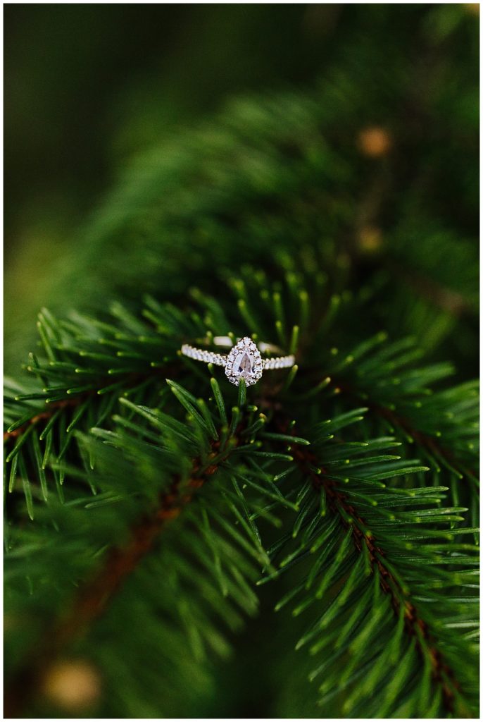 engagement ring photo in a pine tree
