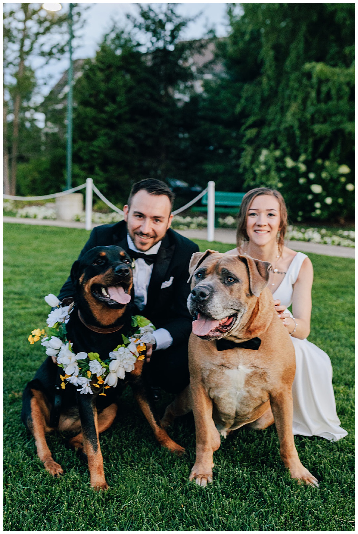 Husband and wife with dogs for Kayla Bouren Photography