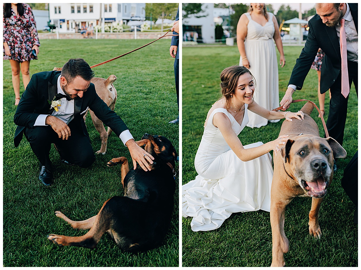 Dogs love on human parents for Kayla Bouren Photography