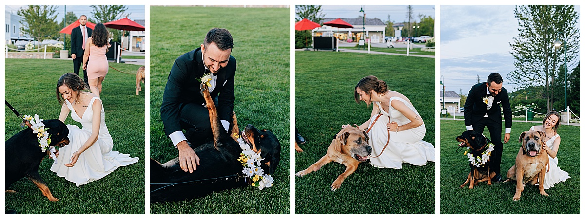 man and woman pet family dogs for Kayla Bouren Photography