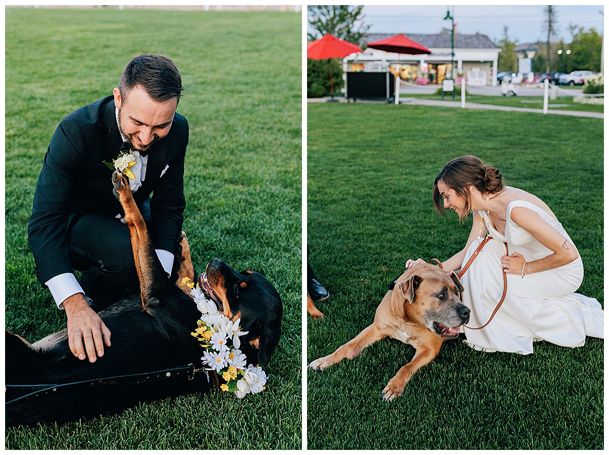 Dog parents love on pups for Kayla Bouren Photography
