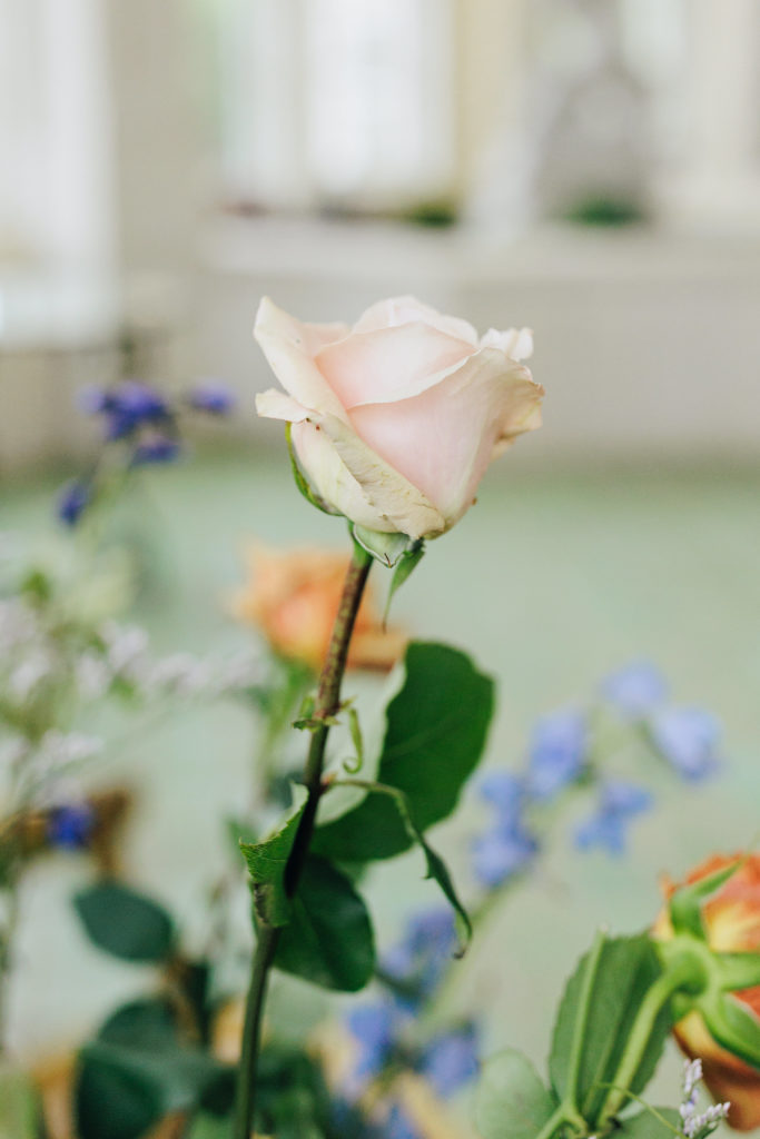 rose in wedding installation at the olana wedding venue by Kayla bouren photography
